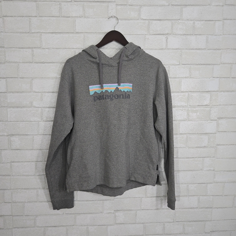 Patagonia Women's Heather Gray Hoodie with Mountain Graphic
